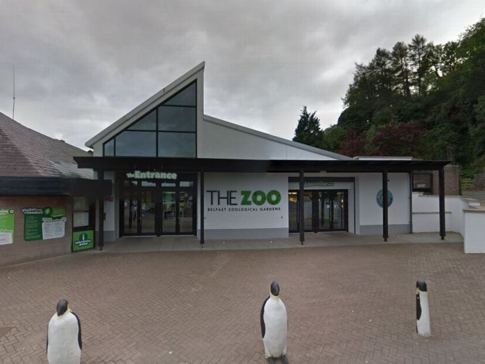 Belfast zoo