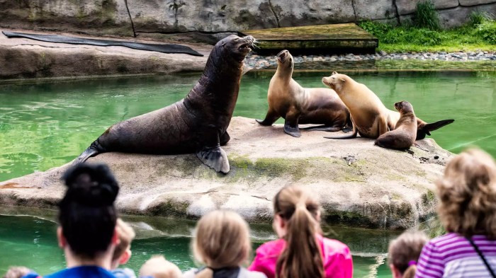 Zoo belfast befriending had young people outing group highlights within bird animal below great some time